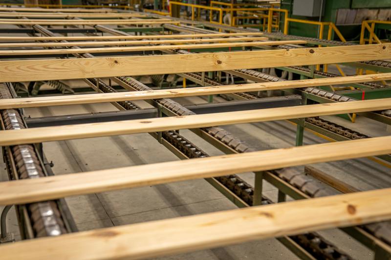 Närbild på en produktionslinje i en träindustri där flera trälister ligger på rad ovanför transportkedjor. Utrustningen omges av metallramar och gula skyddsräcken.