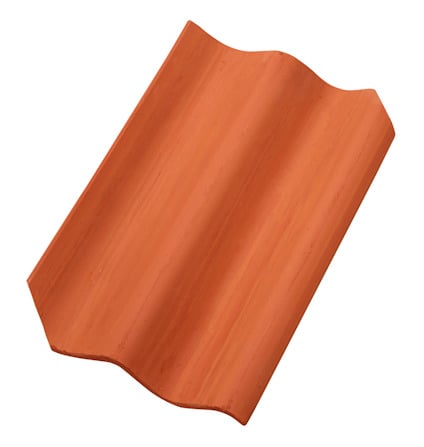 7650057.jpg