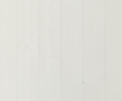 7901383.jpg