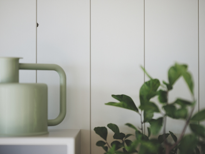 Grön kanna och växt mot en ljus, panelad vägg.