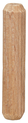 7918516.jpg