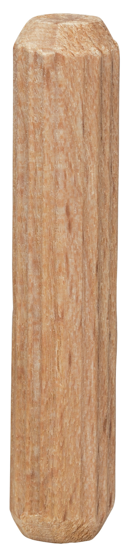 7918516.jpg