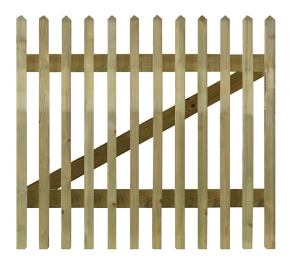 7967131.jpg