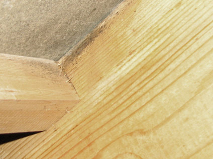 Träkonstruktion med mögelpåväxt.