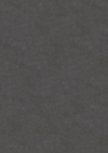 8023617.jpg