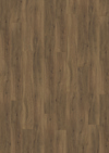 8023641.jpg