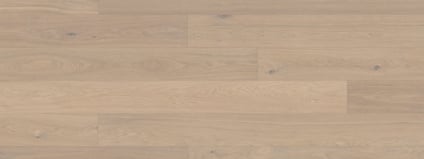 8054429.jpg