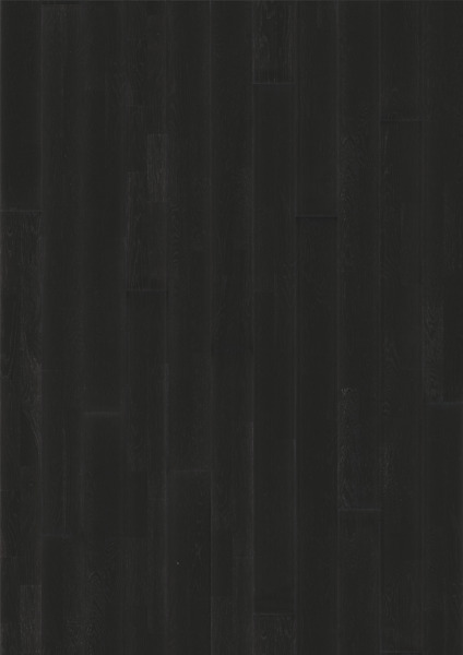 8058402.jpg