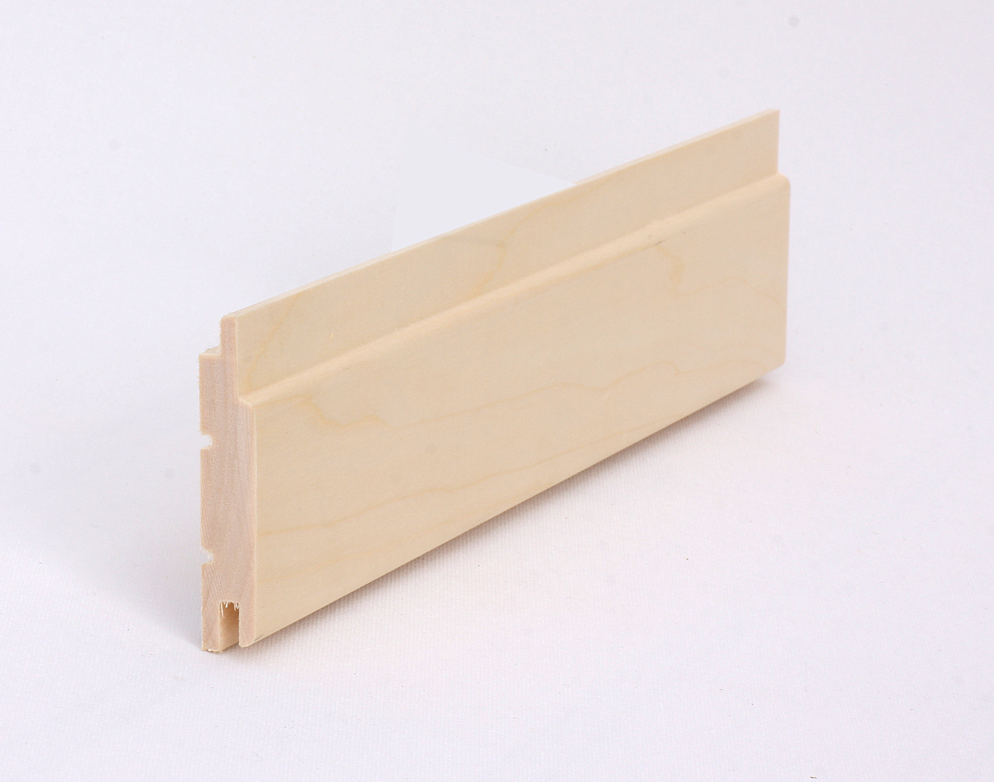 12X68 MM BASTUPANEL ASP  - EHL Prolist
