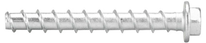 8067095.jpg