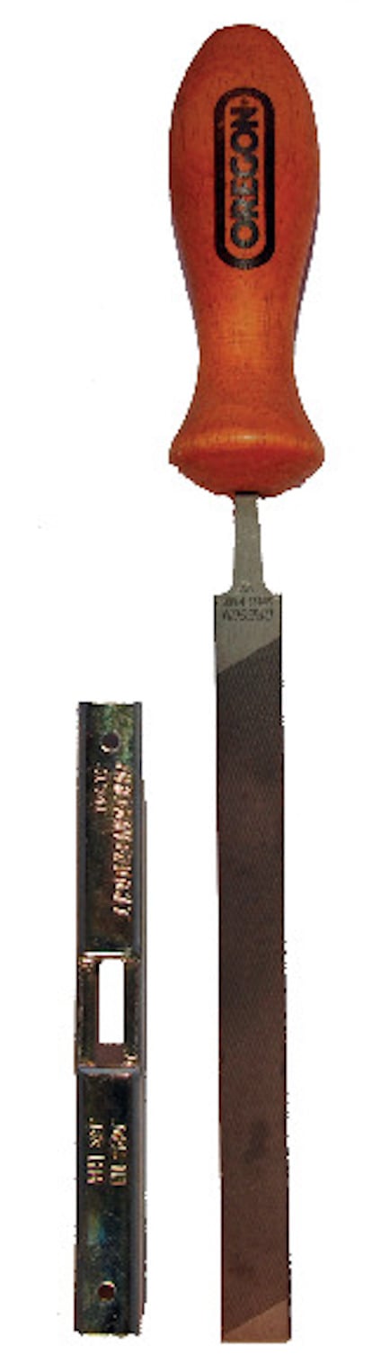 8072073.jpg