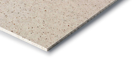 Närbild av en ljus, slät skiva med små mörka prickar.