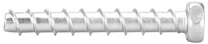 8075200.jpg