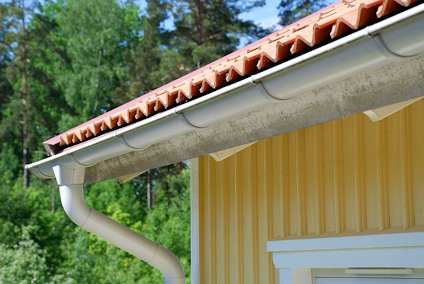 FASADRENGÖRING MÅLARTVÄTT 1L