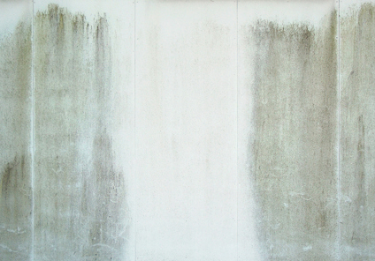 FASADRENGÖRING MÅLARTVÄTT 1L