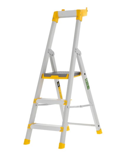 8080339.jpg