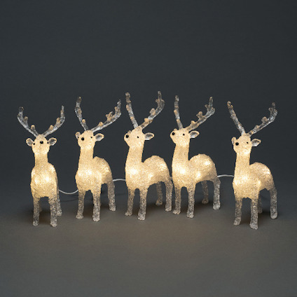 Fem lysande renar av akryl i en rad, omgivna av mörk bakgrund.