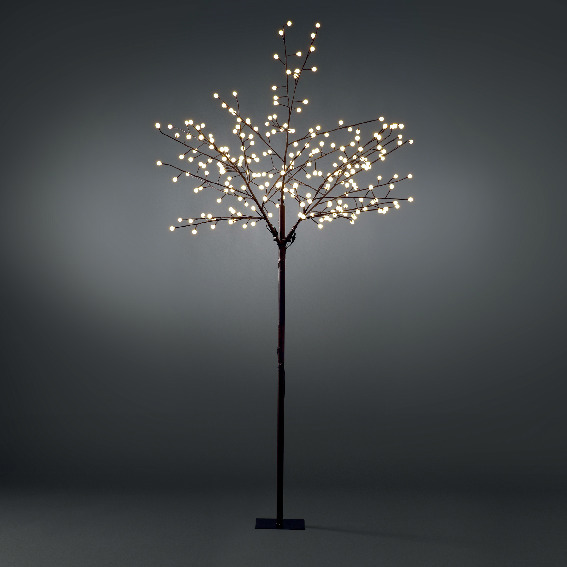 TRÄD BRUN 240 VARMVITA LED 250 CM - Konstsmide