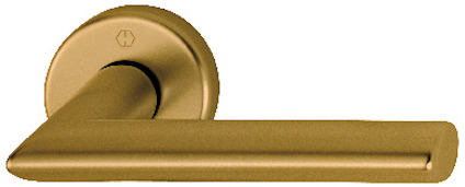 Gyllene dörrhandtag med rund rosett, enkel och modern design.