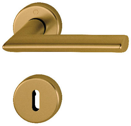 Guldfärgat dörrhandtag med rund rosett och nyckelskylt.