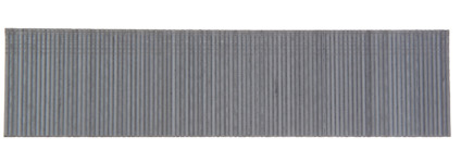 8099842.jpg