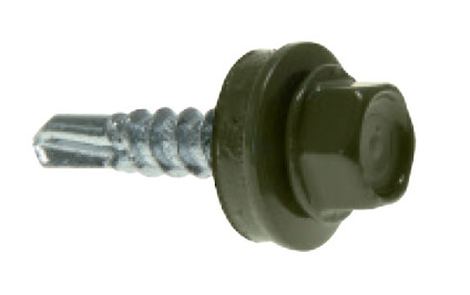 8099849.jpg