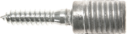 8099865.jpg