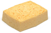 CELLULOSASVAMP
