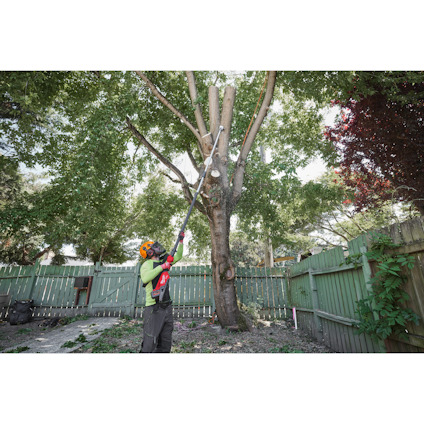 Person in safety gear using a pole saw to trim a tall tree in a fenced backyard.