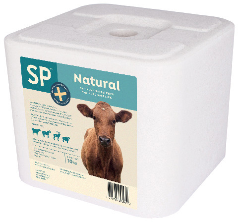 SALTSTEN NATURAL 10KG - Thomee