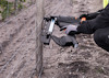 STÄNGSELVERKTYG FS-40 MÄRLOR TJEP GAS 25-40MM