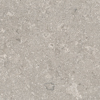 Grå granitkeramikplatta med subtila variationer i ton och mönster, inklusive små fossilliknande detaljer.