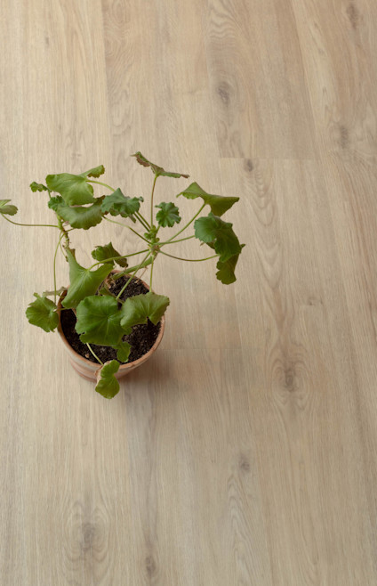 VINYLGOLV KLICK MAXWEAR EK