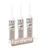 SILIKON PCI CARRAFERM 25 CARRAVIT 310 ML
