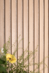 VÄGGPANEL RIBWALL EK RAW BLOND