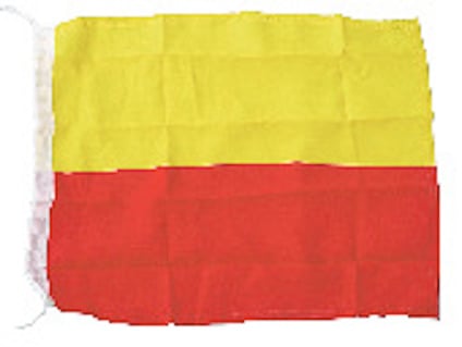 8177605.jpg