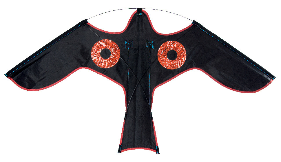 FÅGELSKRÄMMA BLACKBIRD DRAKE - Silverline