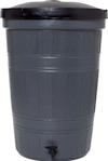 8196205.jpg