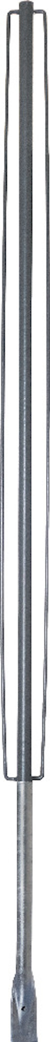 8196803.jpg