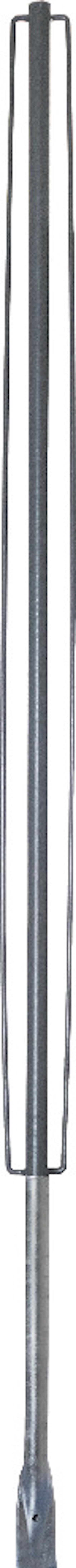 8196803.jpg