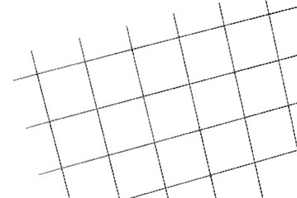 8203274.jpg