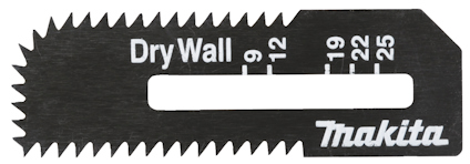 8203800.jpg