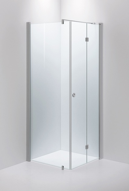 Duschvägg med transparent glas och borstade metallramar i ett hörn.