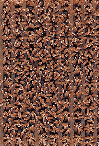 MATTA SAND 90 CM ARMERAD FINNTURF ARMERAD - Duri