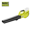 Grön och svart lövblås med texten "RYOBI" och "MAX POWER" tryckt på enheten.