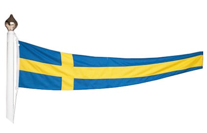 8252766.jpg