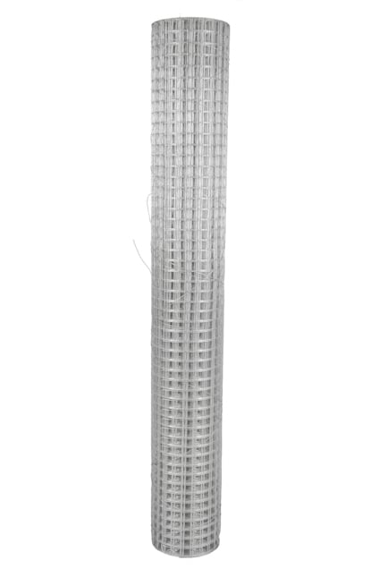 8255130.jpg