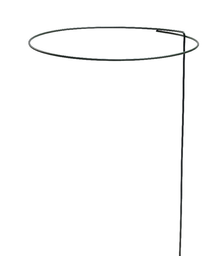 BUSKSTÖD RING 50CM GRÖN - Thomee