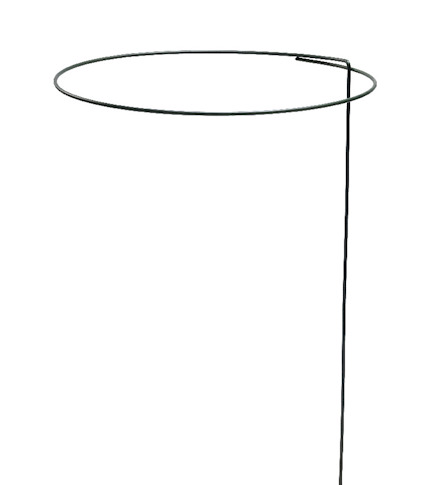 BUSKSTÖD RING 50CM GRÖN
