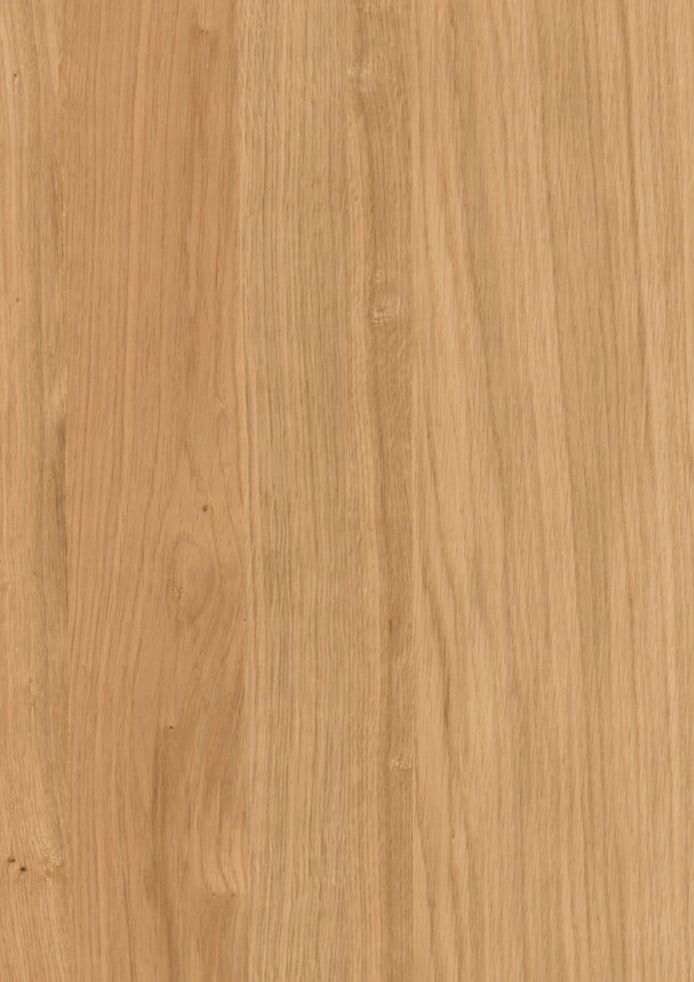 TRÄGOLV BJELIN HÄRDAD EK L+ VISTA MULTI STRIP NATURAL - Bjelin